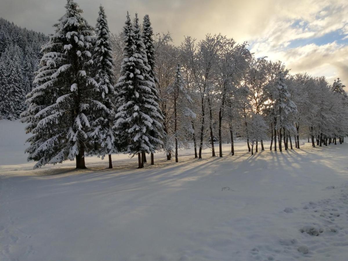 Апартаменты Alpenlandhof Бад Кляйнкирххайм Экстерьер фото